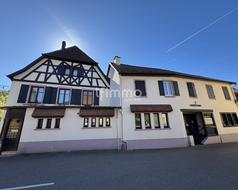 Ensemble immobilier, Hotel Restaurant Appartement, Weshalten Haut-Rhin - 2026-09-04 10.41.30