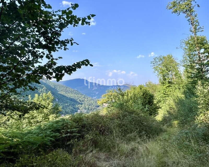 Terrain forestier 10 620 m² avec ancienne bergerie - Img 1513