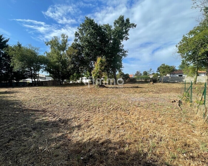 Terrain constructible 3000m² - 33140 Cadaujac - A0010112-f7ef-4f28-b541-373433912f80