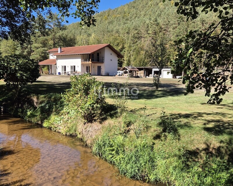 Belle propriété construite sur 15856 m2 à Philippsbourg.   - 20260925 143004