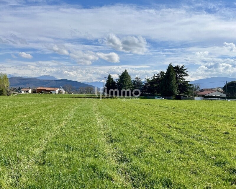 Deux terrains constructibles à Montréjeau de 3 000 m² - Fa5eb041-83e2-4d74-9dc2-ef9770b2b2e5 2